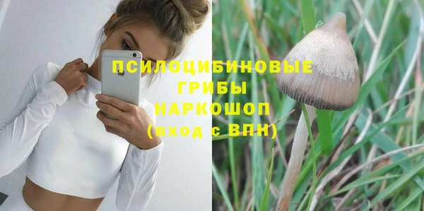 дурь Володарск