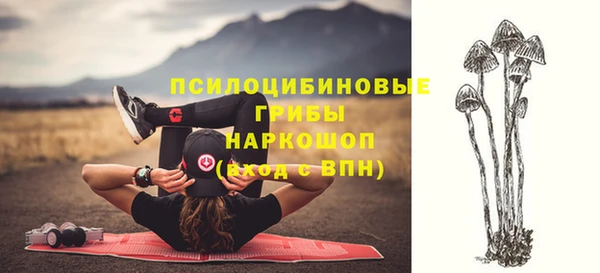 хмурый Волоколамск