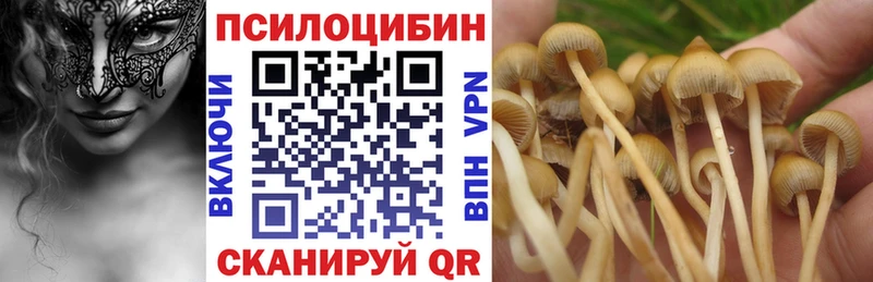 Галлюциногенные грибы мухоморы  гидра ссылки  Высоковск  продажа наркотиков 